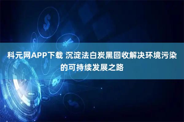 科元网APP下载 沉淀法白炭黑回收解决环境污染的可持续发展之路