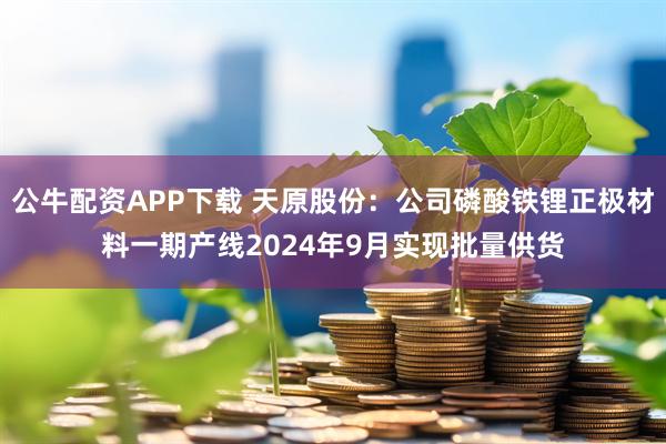 公牛配资APP下载 天原股份：公司磷酸铁锂正极材料一期产线2024年9月实现批量供货