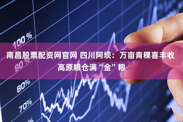 南昌股票配资网官网 四川阿坝：万亩青稞喜丰收 高原粮仓满“金”粮