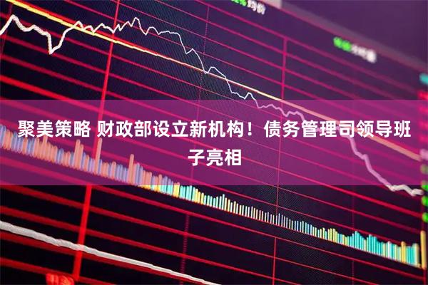 聚美策略 财政部设立新机构！债务管理司领导班子亮相